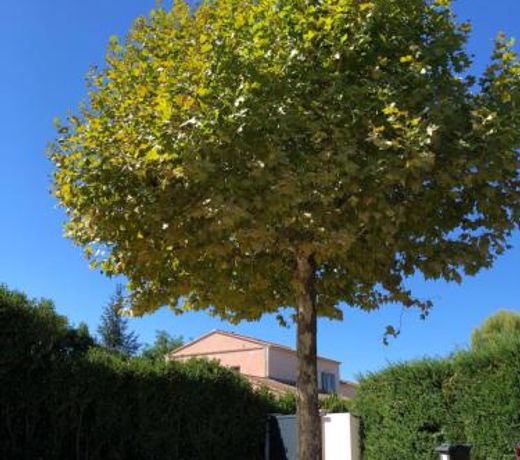 Villa avec vue campagne