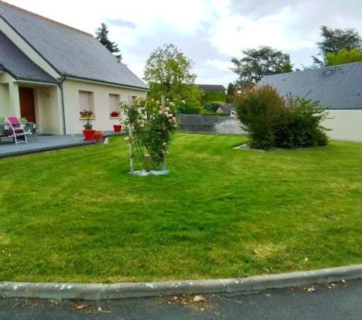 Au detour des Orchidees