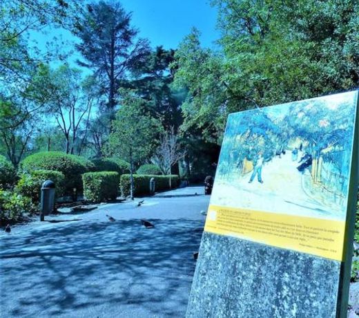 Le nid Arlesien Ã  cÃ´te du Musee Arlaten