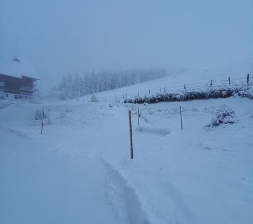 T2 confortable - Super Besse