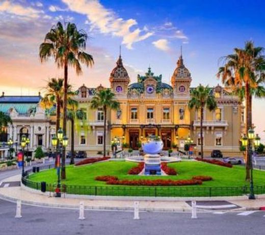 petit coin ensoleillé