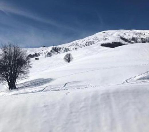 Le Corbier, Bel appartement au pied des pistes