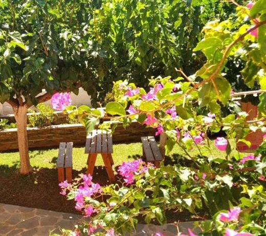 Studio 35sqm in Sougia