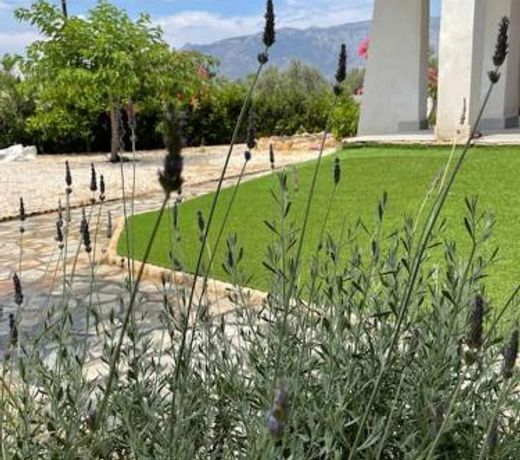 Casa Posidonia