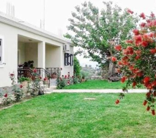 Irini's country house