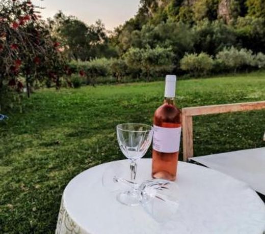 Irini's country house