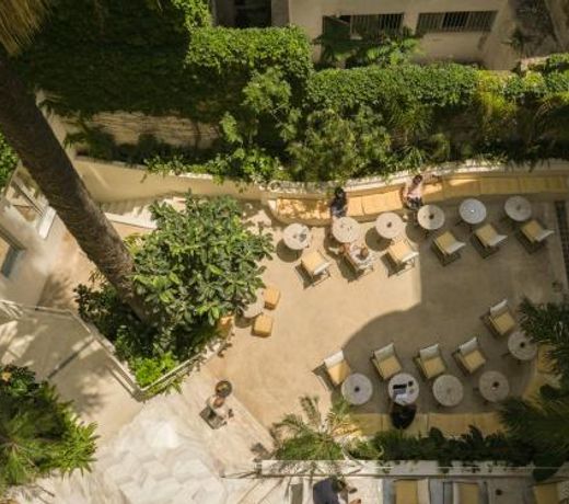 Apollo Palm Hotel