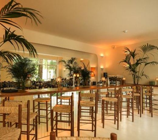 Apollo Palm Hotel
