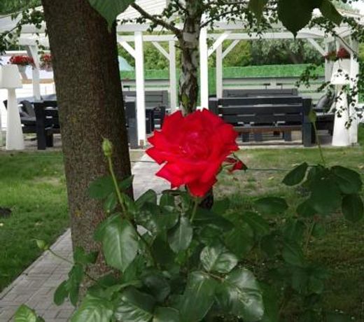 Garden PanziÃ³