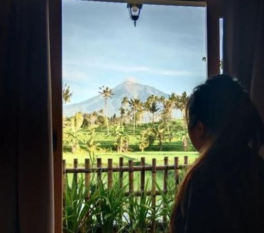 Sawah Ijen