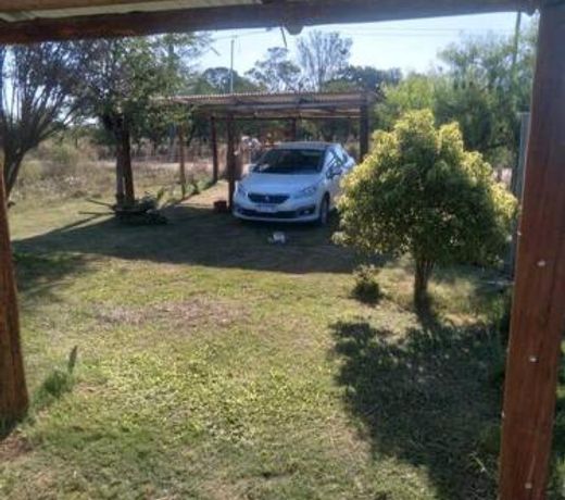 Casa en la Colonia - PetFriendly