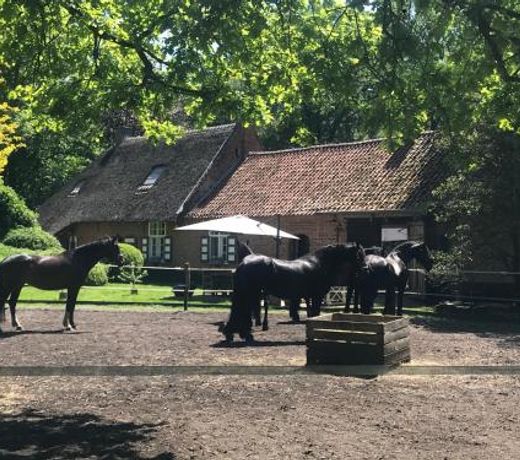 de Swaenhoeve