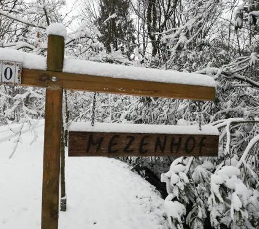 Mezenhof