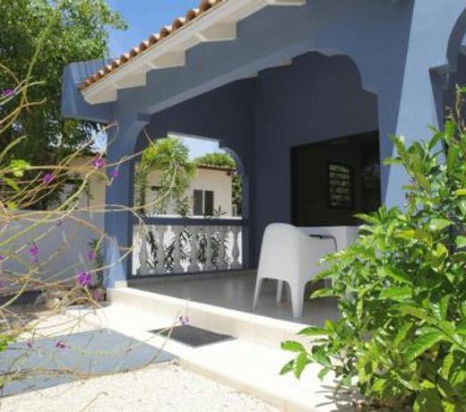 Blue Bonaire