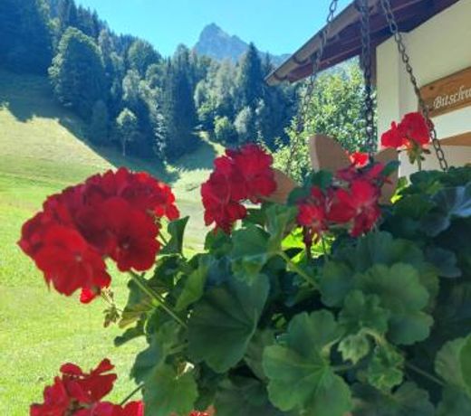 Bergmomente Montafon Ferienhaus Bitschweil