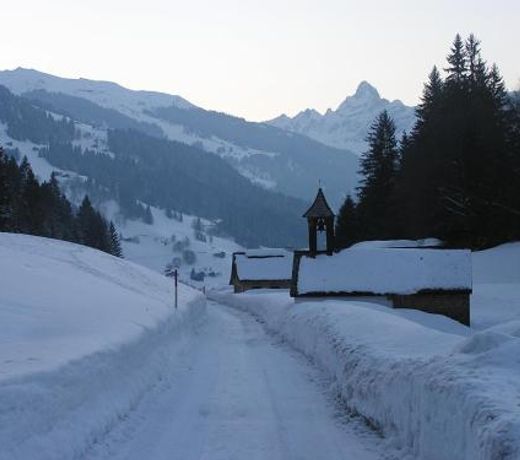 Bergmomente Montafon Ferienhaus Bitschweil