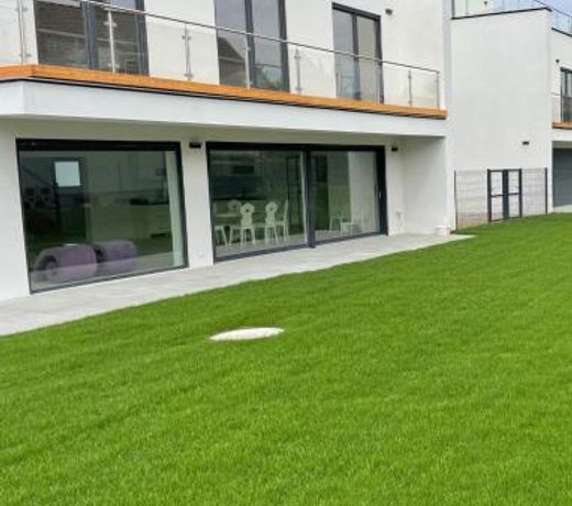 Haus mit Garten bei Wien