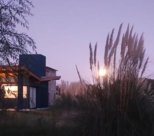 Las Cortaderas