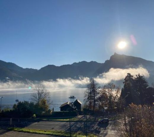 Ferienwohnung Traunkirchen mit Seeblick