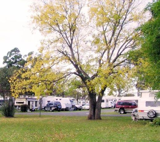 Poplar Tourist Park