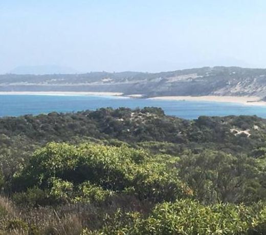 Very basic Cabin next to Long Beach & National park