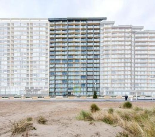 Seasight 0105