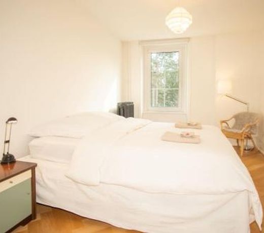 Spacious apartment next to park with free BaselCard