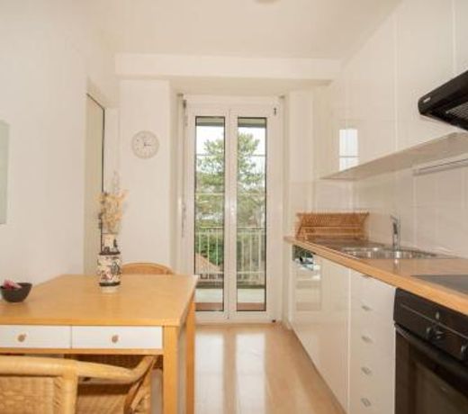 Spacious apartment next to park with free BaselCard