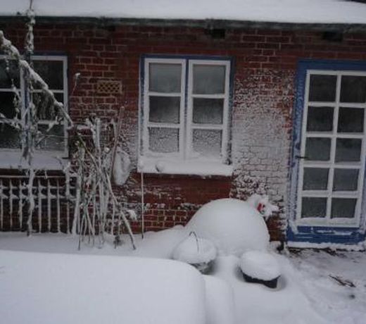 Ferienwohnung GoldhÃ¶ft 5
