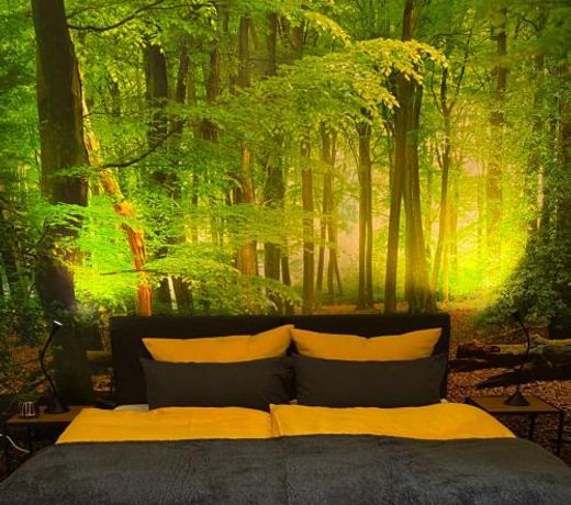 Wood-Appartement