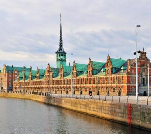 Rare 4BR Apartment w Unique Details in CPH City