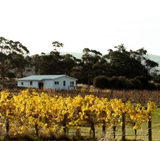 *New* Pip's Place at Lisdillon Vineyard