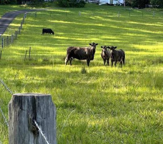 Sleep 9 @ Secluded Farmstay 12min to Coffs Harbour