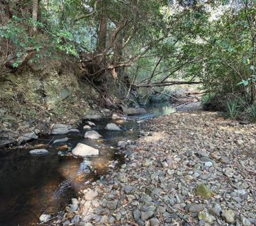 Sleep 9 @ Secluded Farmstay 12min to Coffs Harbour