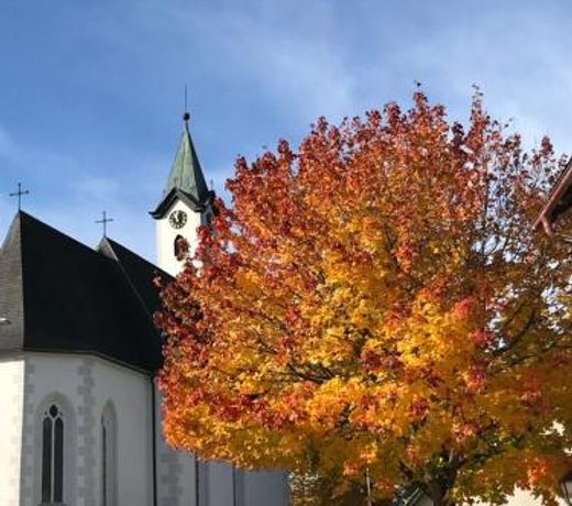 Steiner Stammhaus