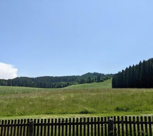 Ferienwohnung in der Natur