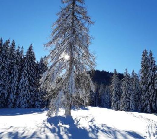 Wohnung in KÃ¤rnten NÃ¤he MillstÃ¤ttersee