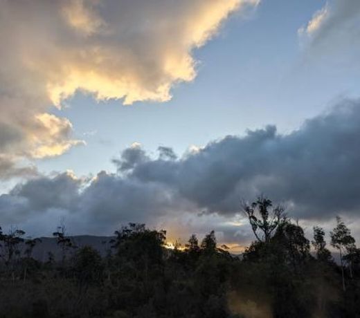 Far South Eco-Cabin, Southern Tasmania