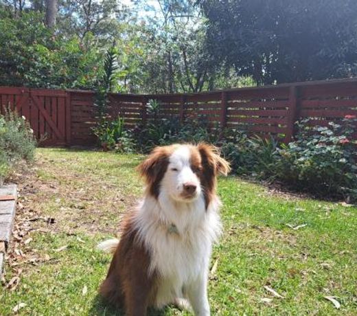 DolceVita at Peppertree Cottage