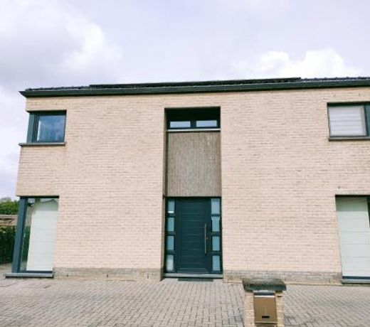 In Het Spoor Van De Vos