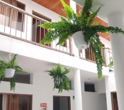 Luna verde hotel