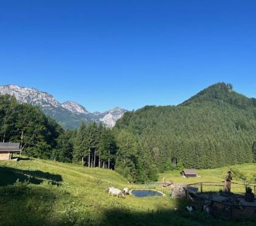 Apartment Hochsteinalm