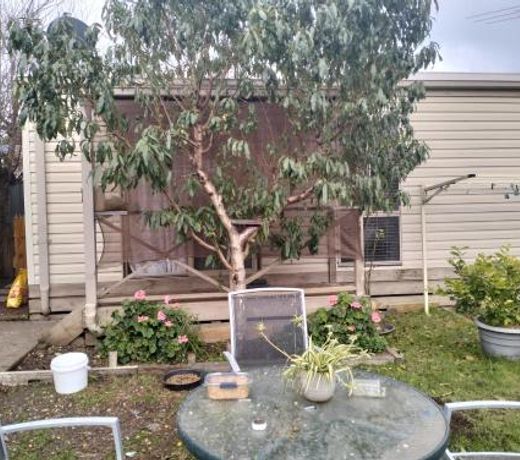 Bungalow Cosystay