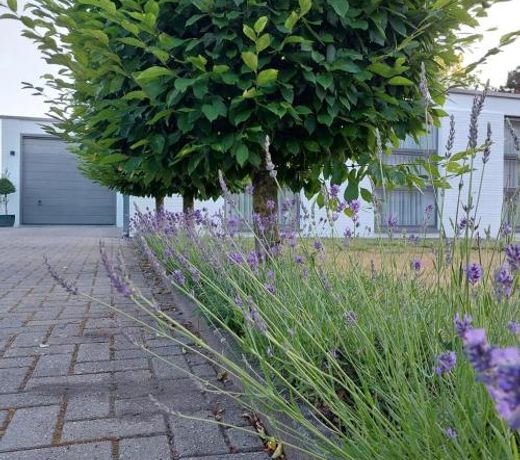 Vakantiewoning De Papendaler