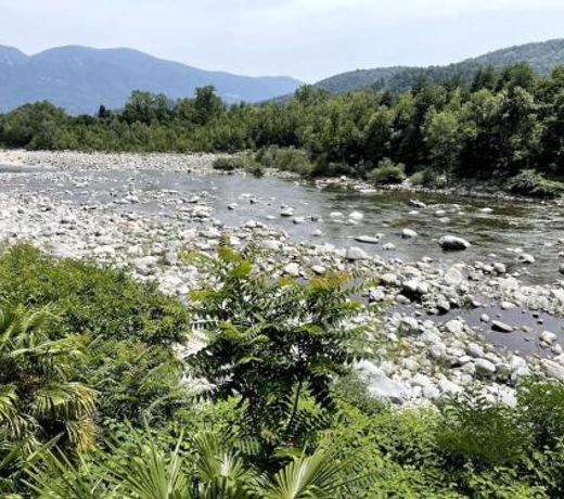 Immersi nella natura con accesso al fiume maggia