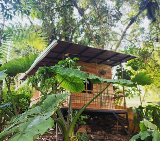 EcoaldeaHotel Aguaviva2