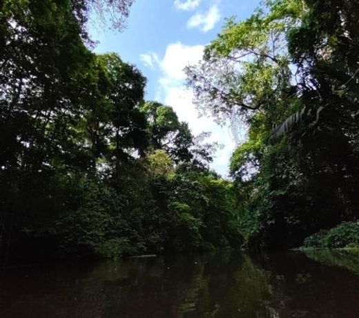 Tortuguero Villas