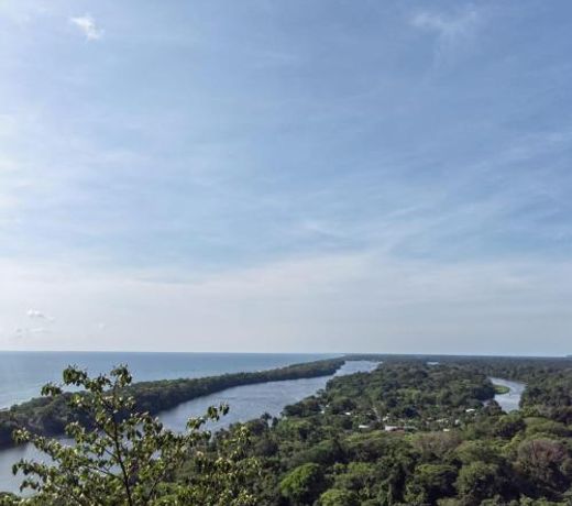 Tortuguero Villas