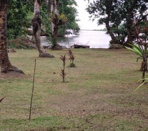 Cabinas Tortuguero Sports Fishing