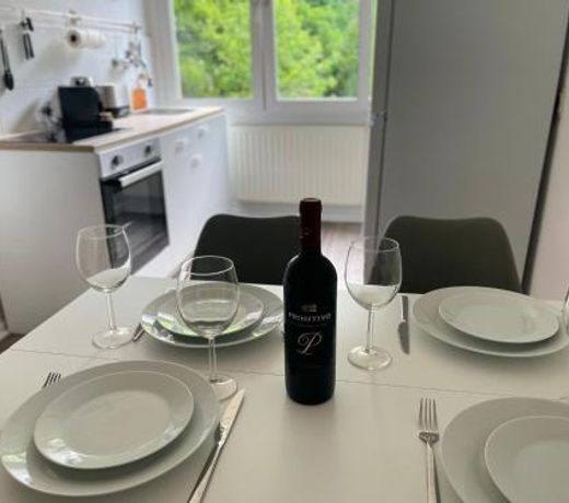 City Studios mit Garten in Elberfeld- Zentral - Nespresso - Netflix